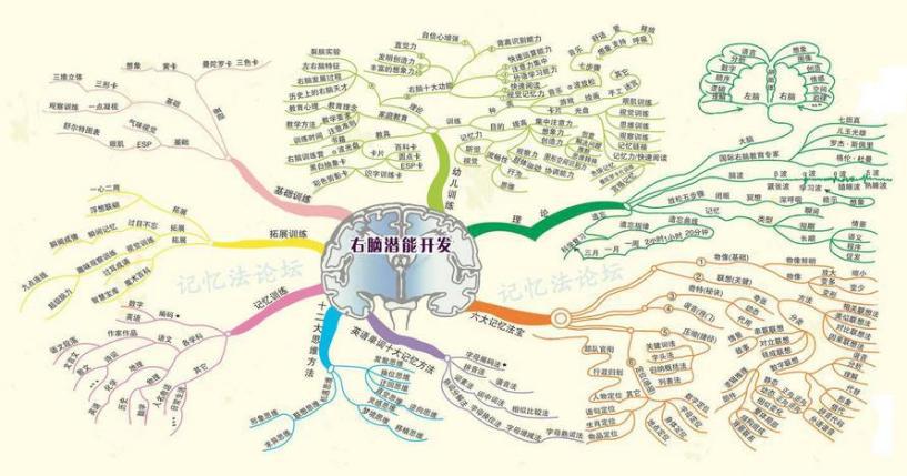右脑潜能开发加盟