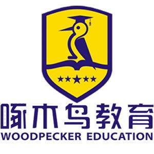 啄木鸟教育