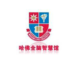 全脑智慧