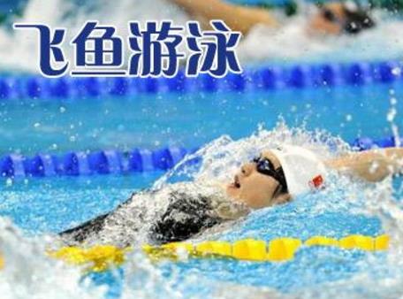 飞鱼游泳培训
