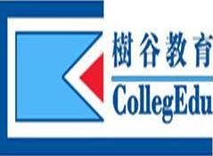 树谷教育
