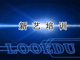 新艺职业