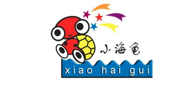 美国小海龟