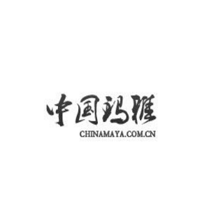 玛雅电脑