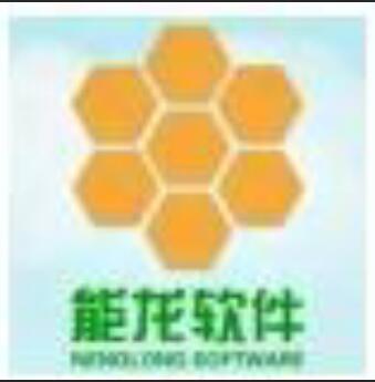 能龙软件