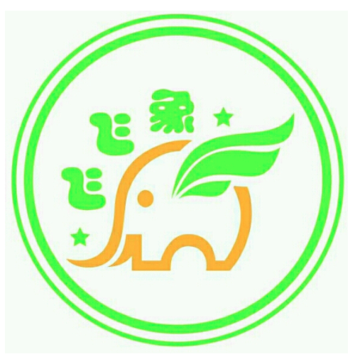 飞飞象教育