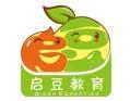 启豆、金启豆