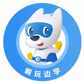 编玩边学
