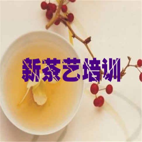 新玥茶艺培训