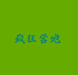 疯狂营地夏令营