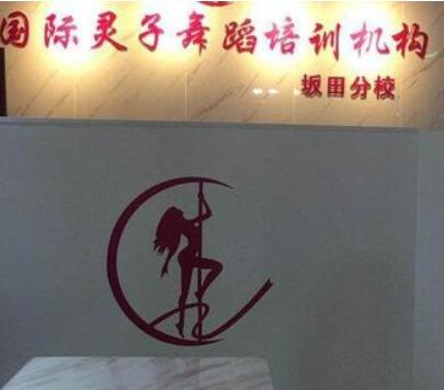 国际灵子舞蹈培训机构