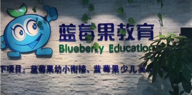 蓝莓果教育加盟流程有哪些？加盟条件是什么呢？
