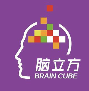 脑立方教育