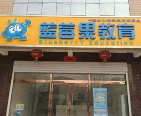 蓝莓果教育加盟费？加盟优势有哪些？