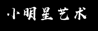 小明星艺术