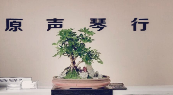 原声琴行