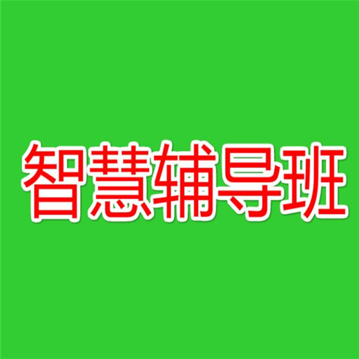 智慧辅导班