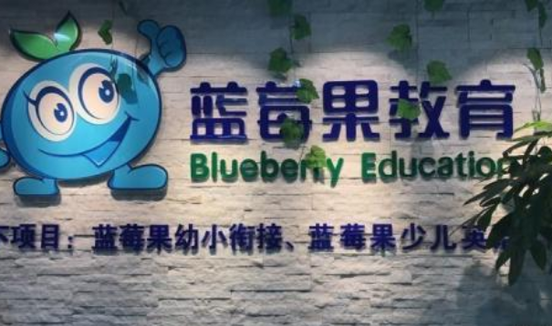 蓝莓果教育加盟费用是多少呢？