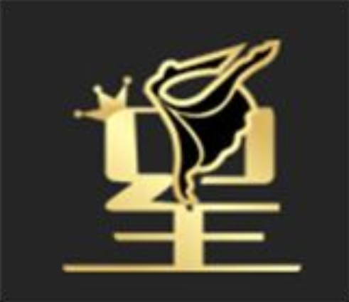 舞之星舞蹈艺术培训