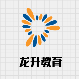 龙升教育