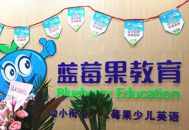 蓝莓果学前班加盟条件要求高不高呢？