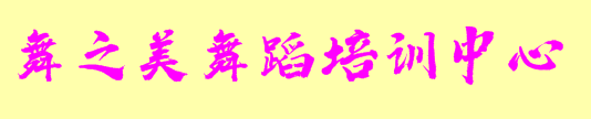 舞之美舞蹈培训中心