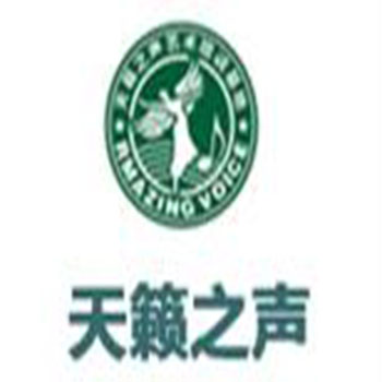 天籁之声艺术