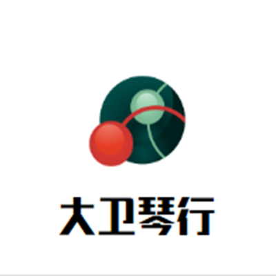 大卫琴行