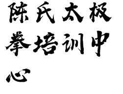 陈氏太极拳培训中心