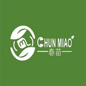 春苗艺术培训