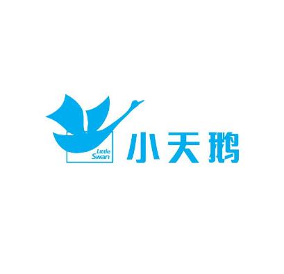 小天鹅教育机构