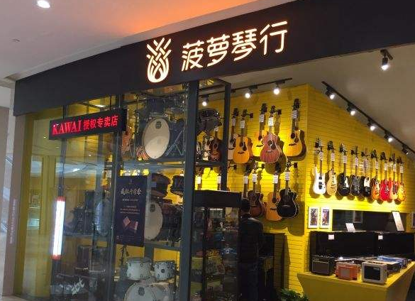 菠萝琴行