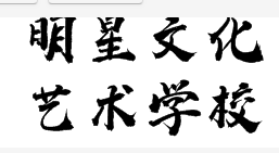 明星文化艺术学校