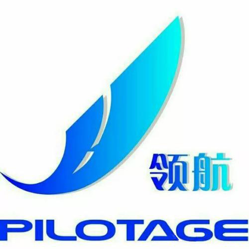 领航教育辅导中心