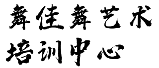 舞佳舞艺术培训中心