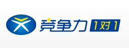 竞争力一对一