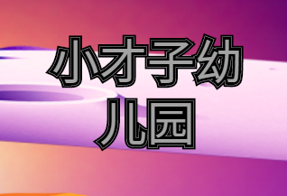 小才子幼儿园
