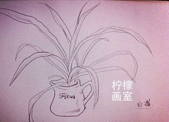 柠檬画室