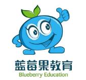 蓝莓果学前班幼儿园