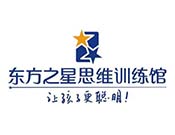 东方之星思维训练
