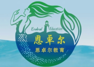 恩卓尔教育