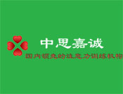 中思嘉诚注意力训练