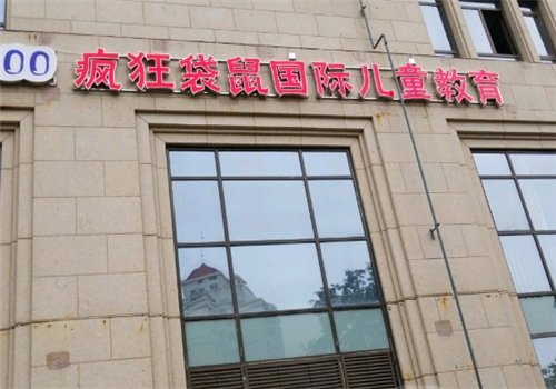 疯狂袋鼠国际儿童教育