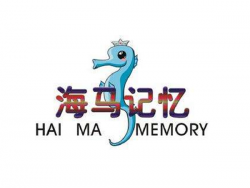 海马记忆