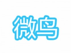 微鸟少儿英语