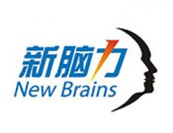 新脑力教育