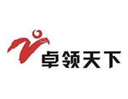 卓领天下