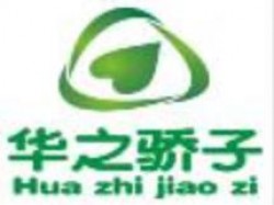 华之骄子右脑潜能开发
