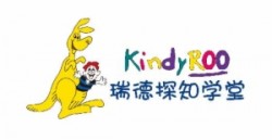 瑞德网络教育