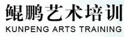 鲲鹏艺术培训